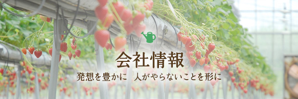 会社情報
