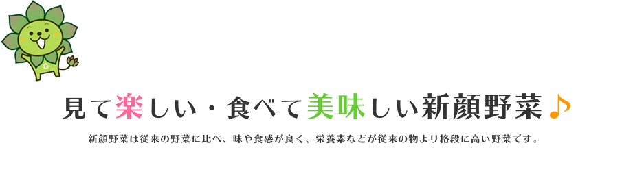 見て楽しい・食べて美味しい新顔野菜♪